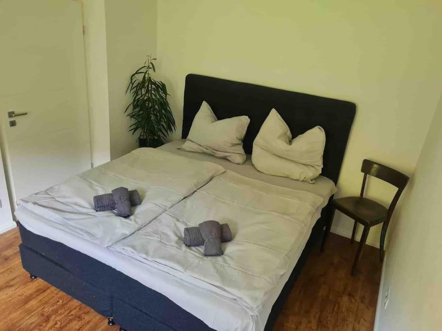 Ein Zuhause Mit Schonem Garten Apartment Bonn Luaran gambar