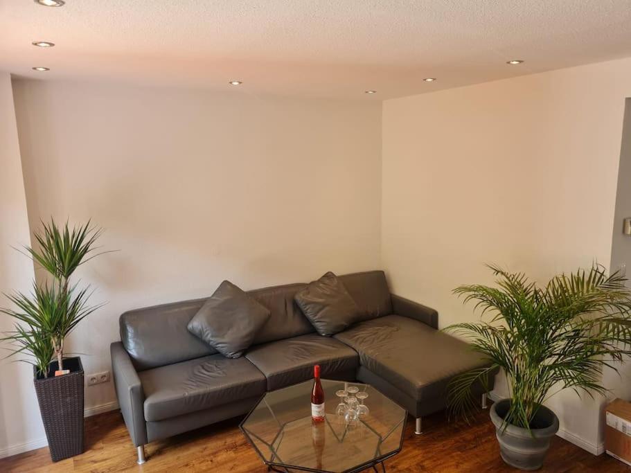 Ein Zuhause Mit Schonem Garten Apartment Bonn Luaran gambar